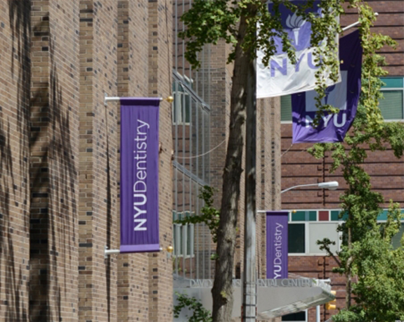 Purple flags outside of New York University School of Dentistry